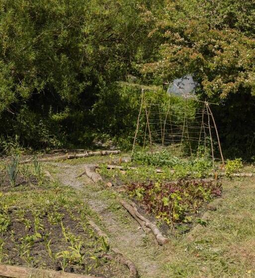 Cămin The Common Knowledge Centre