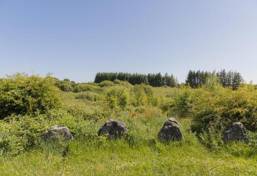 Cămin The Common Knowledge Centre