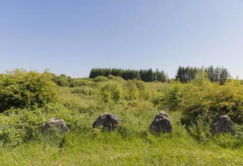 ユースホステル The Common Knowledge Centre