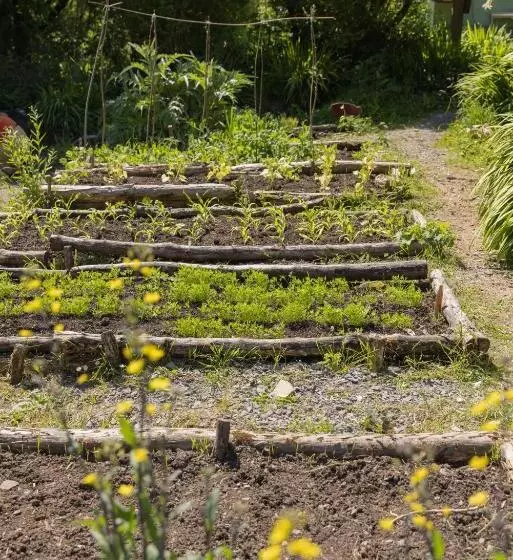 ユースホステル The Common Knowledge Centre