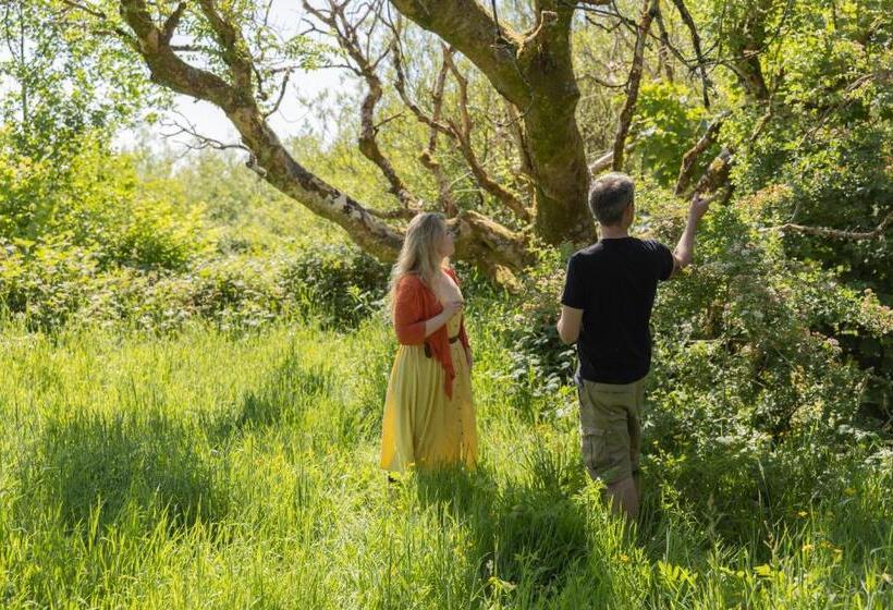 Cămin The Common Knowledge Centre