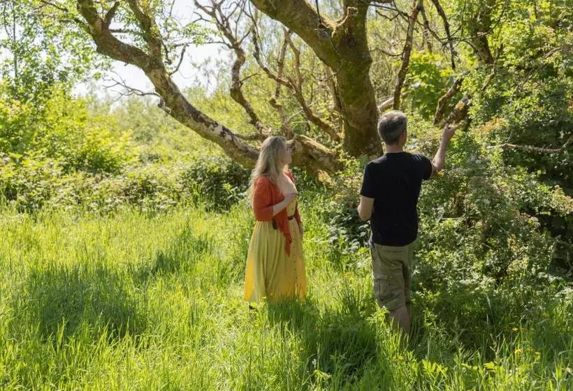 ユースホステル The Common Knowledge Centre