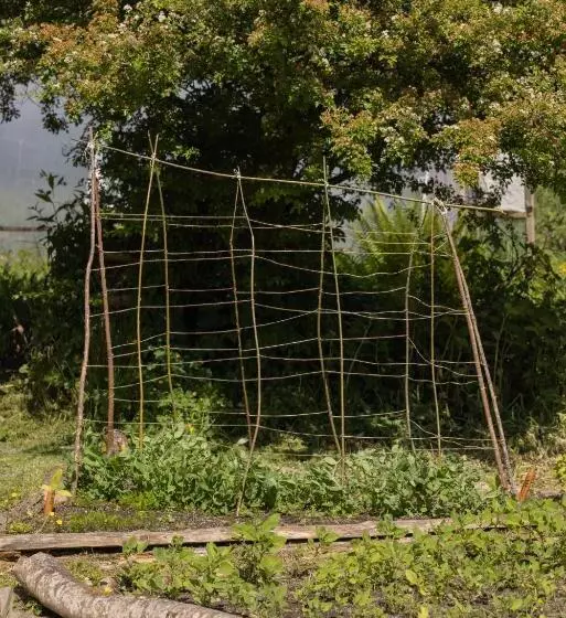 ユースホステル The Common Knowledge Centre