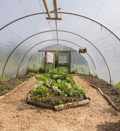 ユースホステル The Common Knowledge Centre