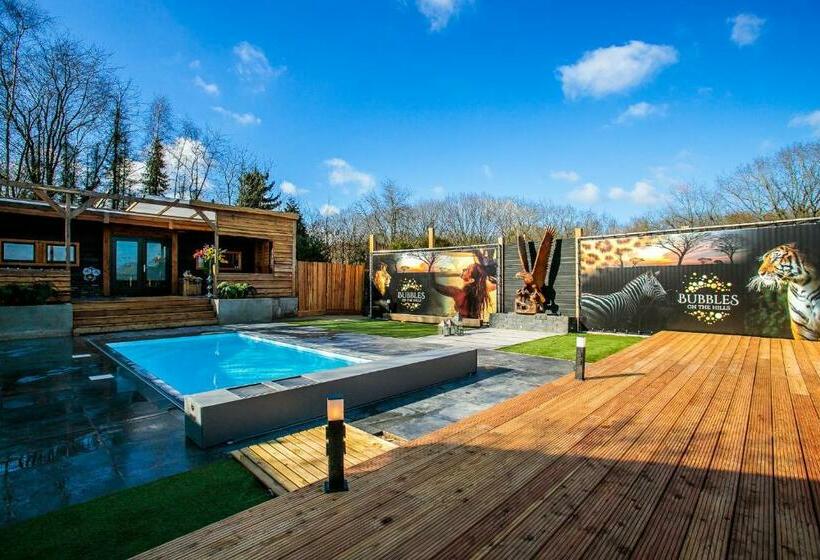 Bed and Breakfast Bubbles On The Hills