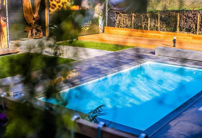 Bed and Breakfast Bubbles On The Hills