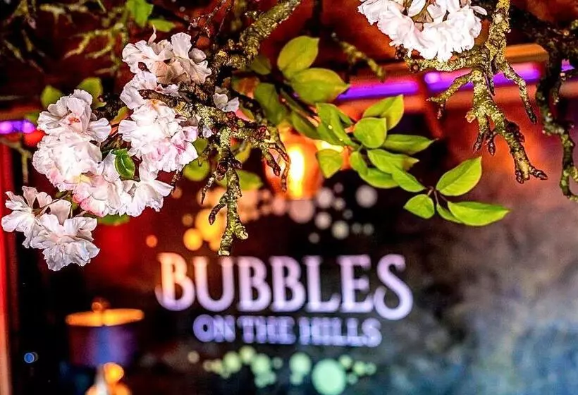 ベッドアンドブレックファースト Bubbles On The Hills