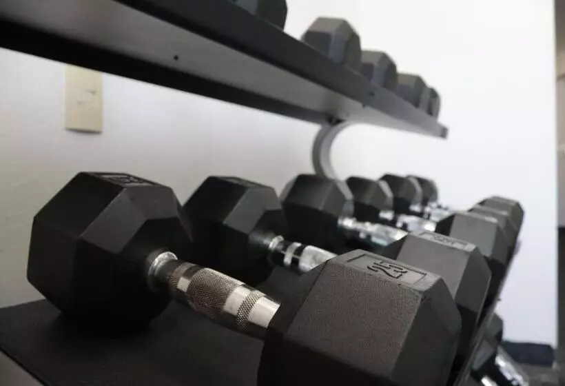 Hotelli México Plaza Irapuato