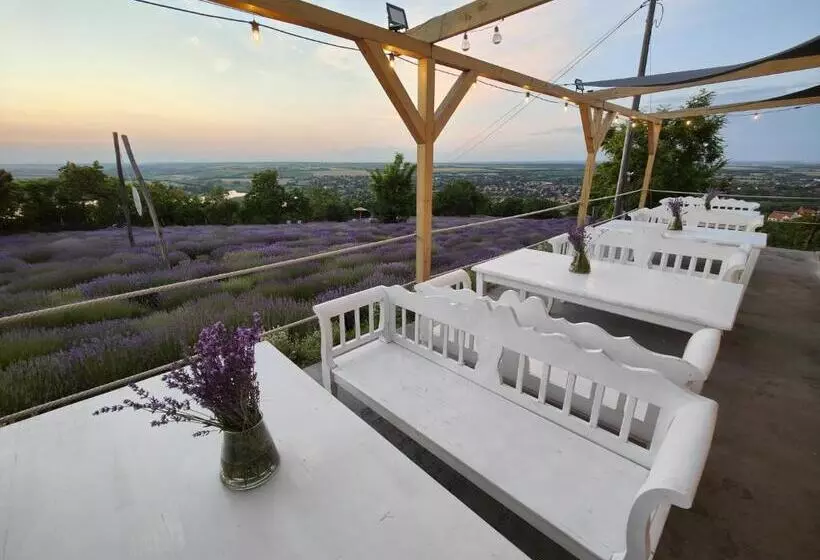 Majatalo Levendulászat