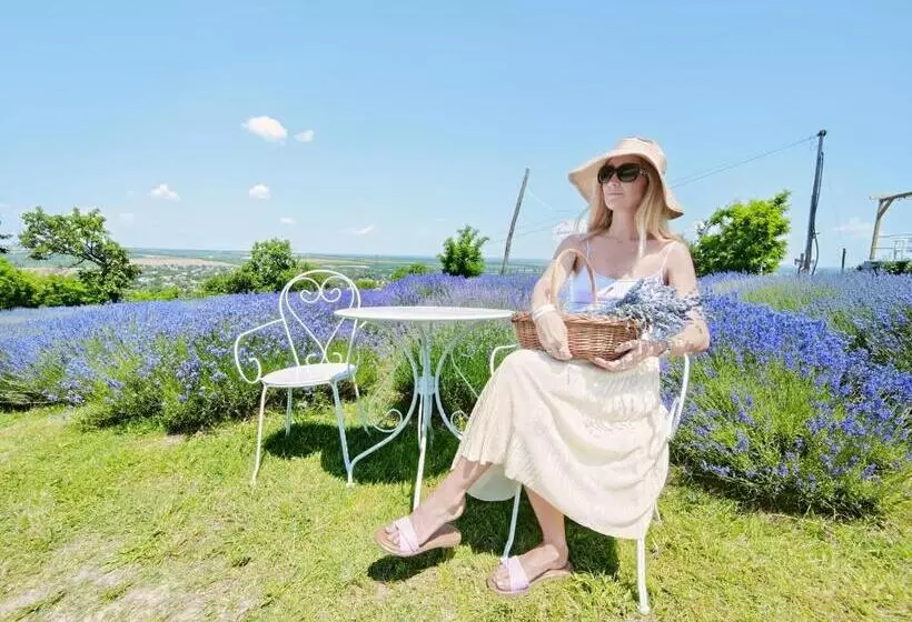 Majatalo Levendulászat