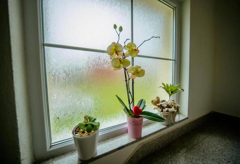 پانسیون Pansion Milena I Mario