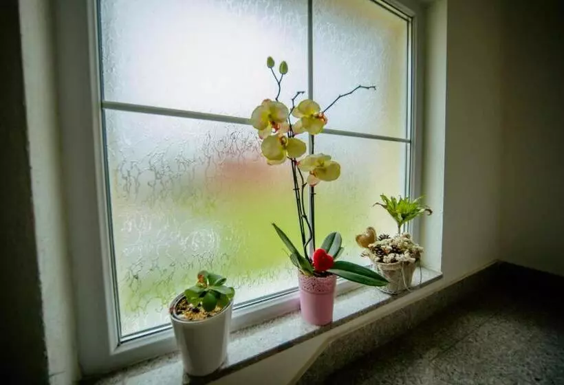 پانسیون Pansion Milena I Mario