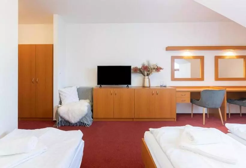 ペンション Penzion Jas