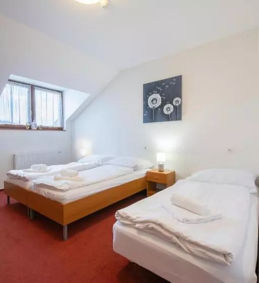 ペンション Penzion Jas