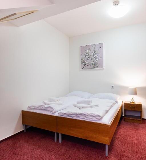 膳宿费 Penzion Jas