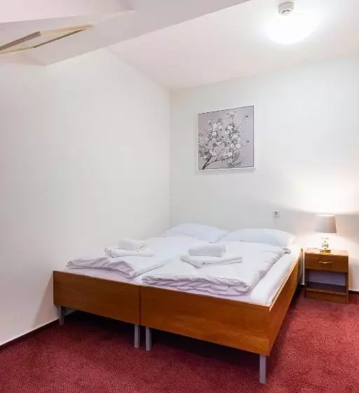 ペンション Penzion Jas