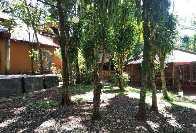 هاستل Ito Cultural