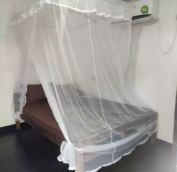 Backstay Hostel