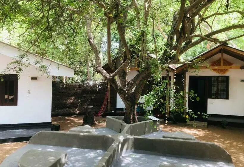 Backstay Hostel