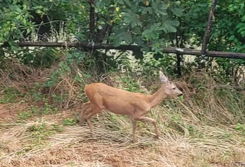 Majatalo Casa Ramaceto