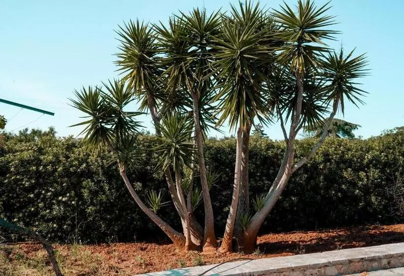 ペンション Dimora Caggione