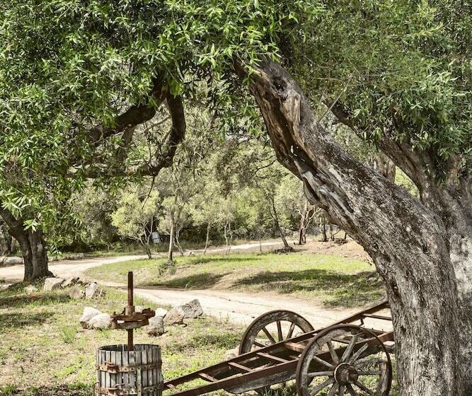 ベッドアンドブレックファースト Uddastri Retreat