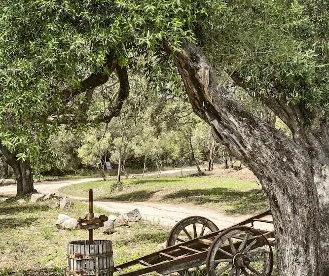 تختخواب و صبحانه Uddastri Retreat