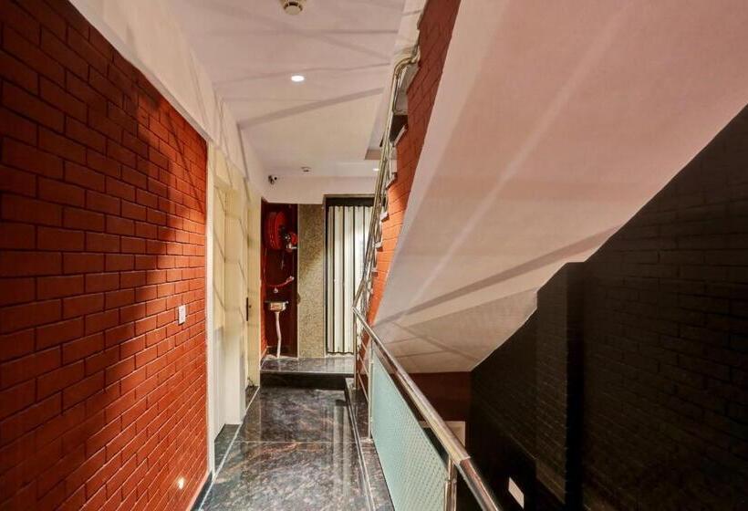 Hotel Oyo Flagship 81202 Brown Villa