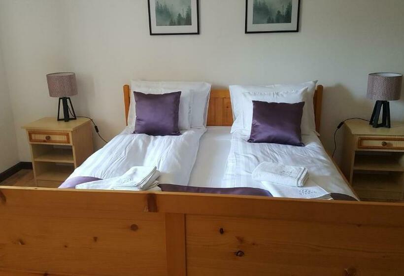 Пансион Visnyó Vendégház