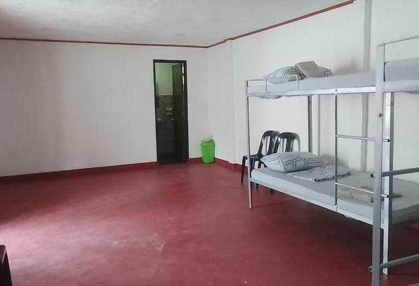 הוסטל Aroma S Guest House