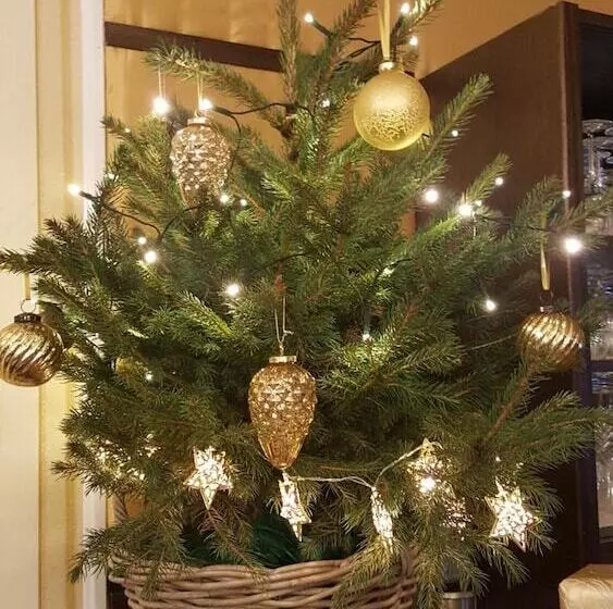 Hotelli Gasthaus Schillebold