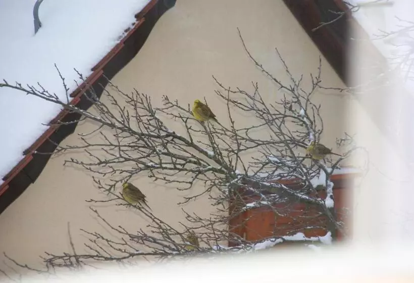 Hotelli Gasthof Jägerheim