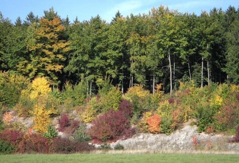 Hotel Gasthof Jägerheim