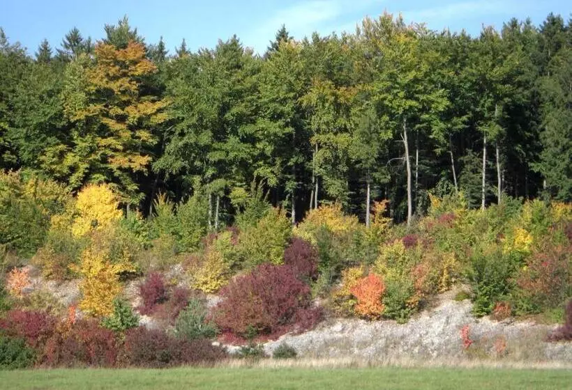 Hotelli Gasthof Jägerheim