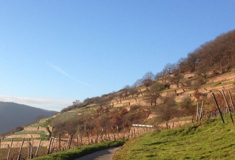 Отель Gasthof Schuster