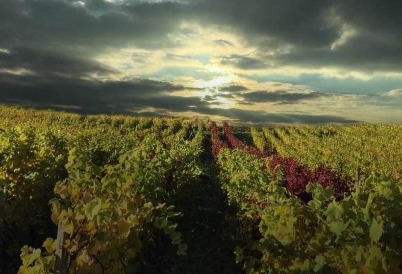 Отель Gasthof Schuster