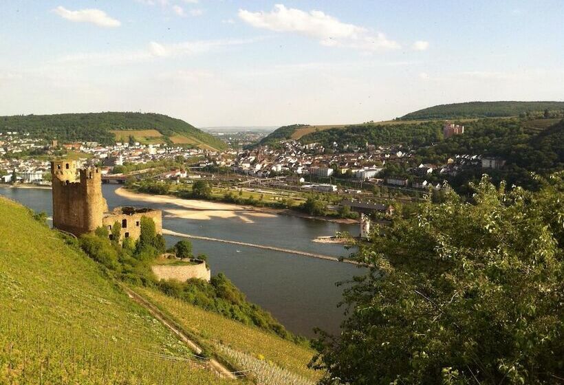 Отель Gasthof Schuster