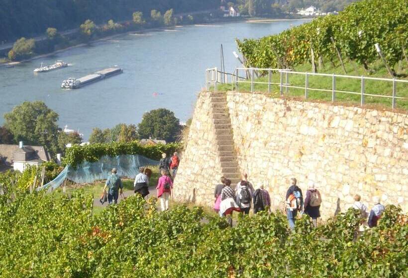 Отель Gasthof Schuster