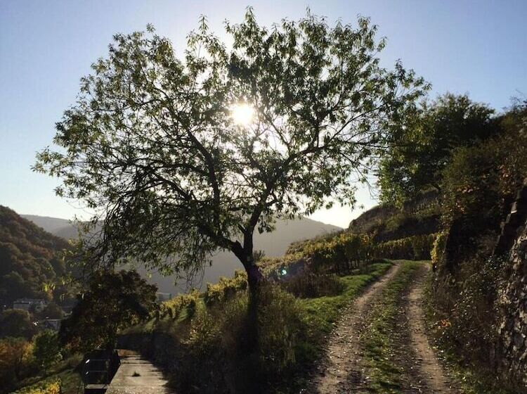 Отель Gasthof Schuster