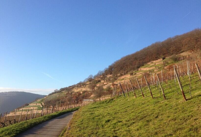 Отель Gasthof Schuster