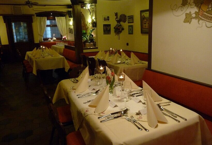 Отель Gasthof Schuster