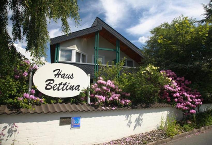 Отель Haus Bettina