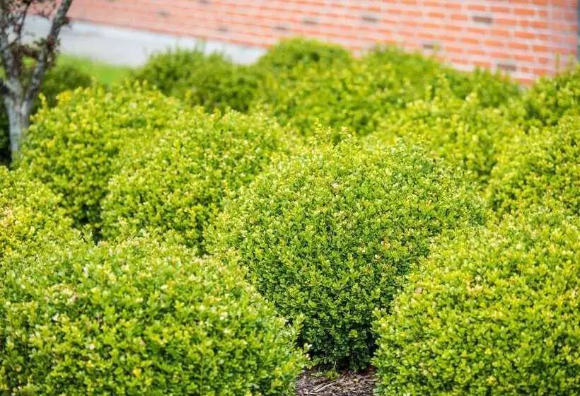 Hotelli Jernbanegade