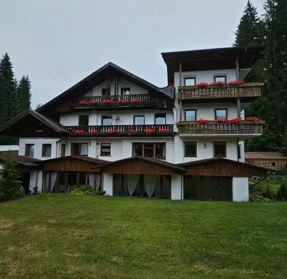 Hotelli Pension Schatzkisterl