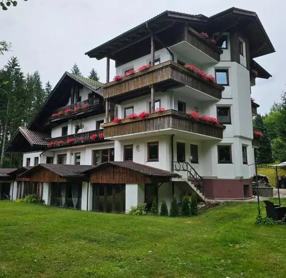 Hotelli Pension Schatzkisterl