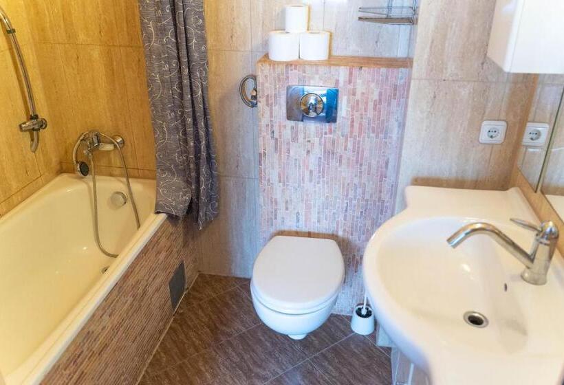 Отель Pension Sxf