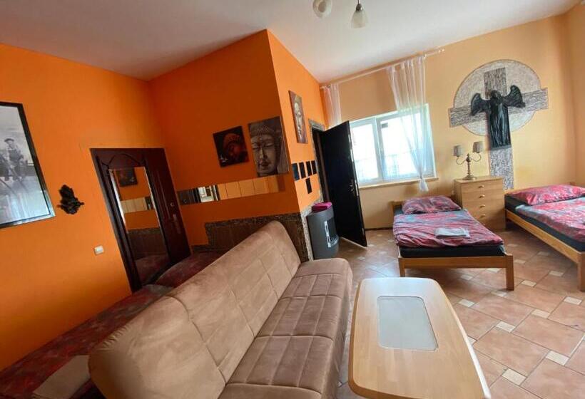 Отель Pension Sxf