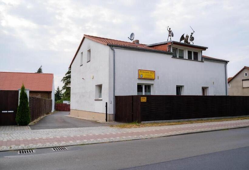 Отель Pension Sxf