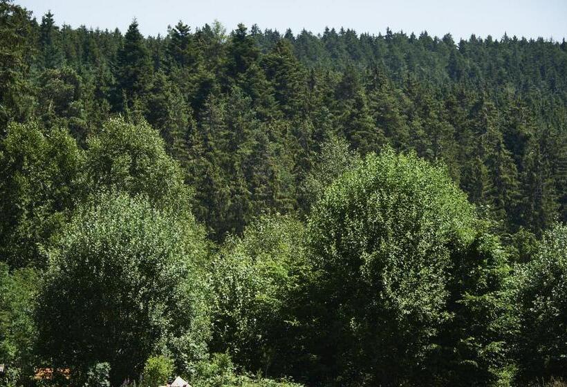 Отель Schwarzwald Lodge Rothaus