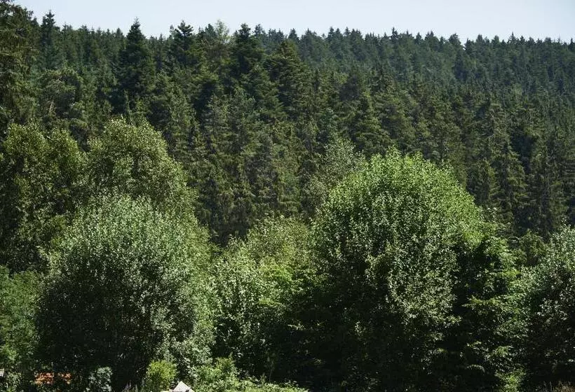 Hotelli Schwarzwald Lodge Rothaus